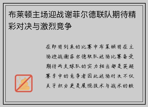 布莱顿主场迎战谢菲尔德联队期待精彩对决与激烈竞争